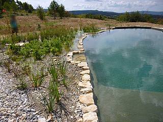 piscines-naturelles/jouvence/bassin-naturel-apt-84-1/couleur-nature-piscine-bassin-naturel-100-m2-apt-vaucluse-5.jpg