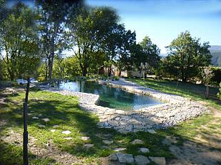 piscines-naturelles/jouvence/bassin-naturel-drome-1/couleur-nature-piscine-bassin-naturel-dans-drome.jpg