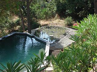 piscines-naturelles/nature/piscine-naturelle-ste-maxime-1/couleur-nature-piscine-naturelle-ste-maxime-var-83.jpg
