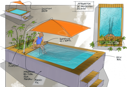 Réalisation de bassins d'agrément et de piscines naturelles