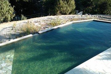 Une piscine naturelle en Provence Verte