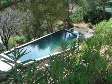 Une piscine naturelle à Sainte Maxime (Var)