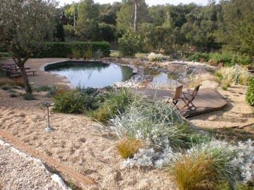 Vue d'ensemble bassin de baignade, régénération, terrasse piscine bois, jardin,terrasse gravillonnée