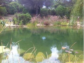 Création bassins d'agréments Beaupréau-en-Mauges – Point d'eau, bassin  aquatique