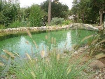 Un bassin naturel à Fréjus
