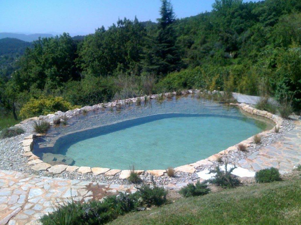 construction piscine naturelle