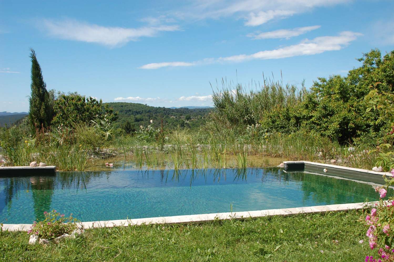 La piscine naturelle, une alternative écologique