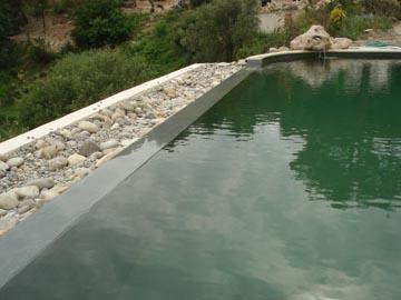 Piscine traditionnelle transformée en piscine naturelle